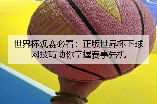 世界杯观赛必看：正版世界杯下球网技巧助你掌握赛事先机